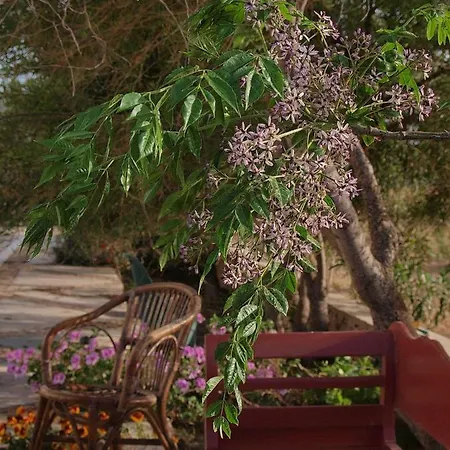 Flower And Crafts - The Eco Nature House Monólithos Extérieur photo
