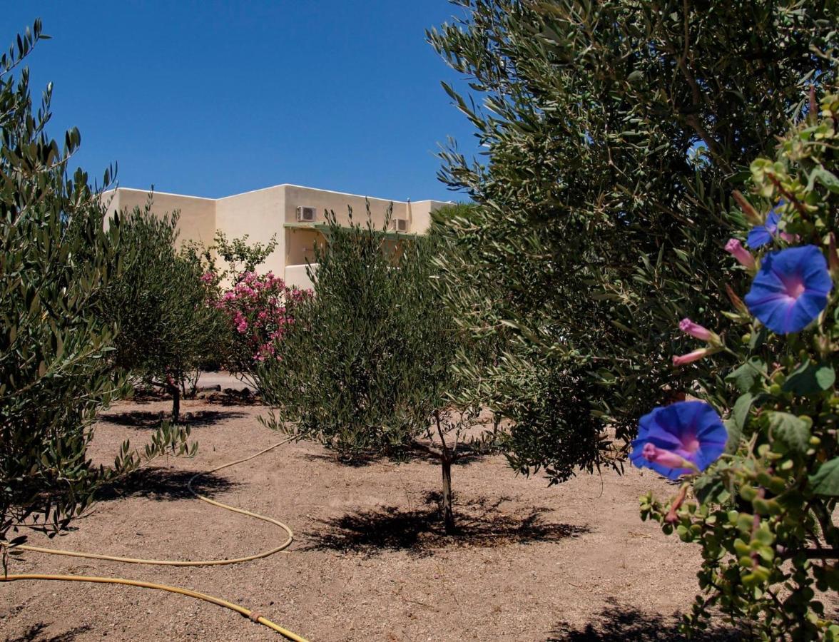 Flower And Crafts - The Eco Nature House *
