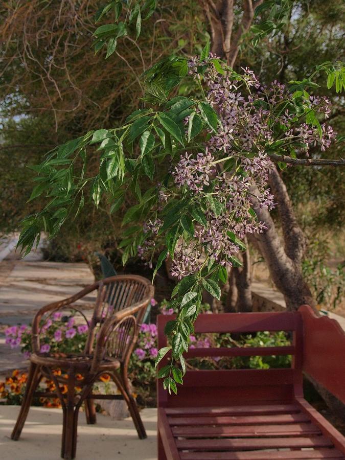 Flower And Crafts - The Eco Nature House * Monólithos