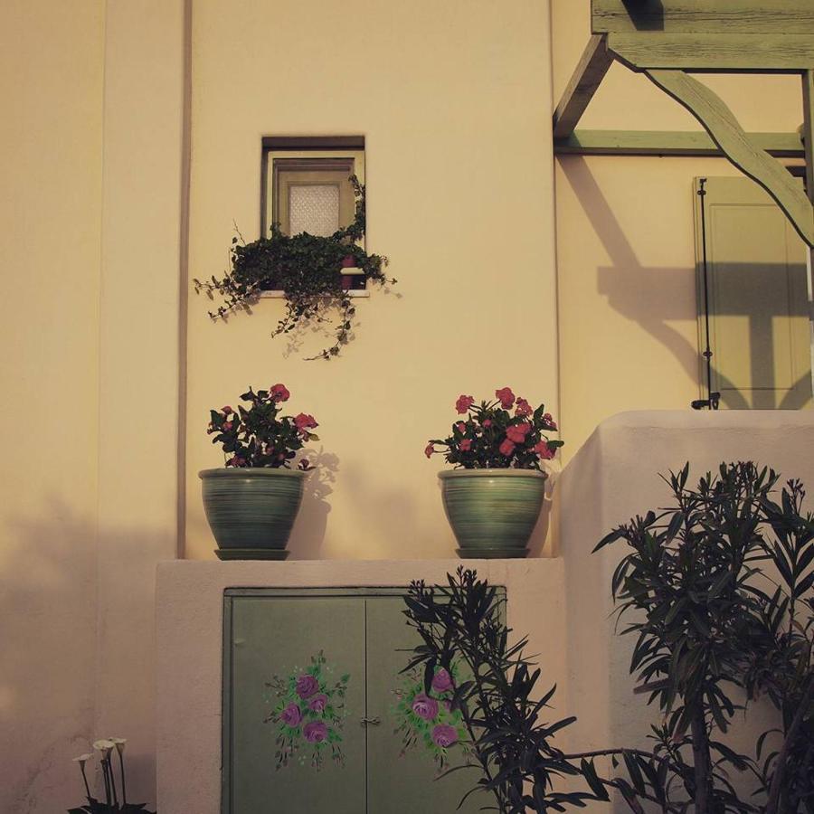 Flower And Crafts - The Eco Nature House Hébergement de vacances *